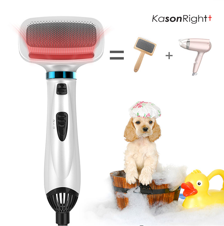 Brosse portative 2 en 1 pour chien et chat, 300W, sèche-cheveux pour animaux de compagnie, sèche-cheveux et brosse de toilettage pour animaux de compagnie à faible bruit